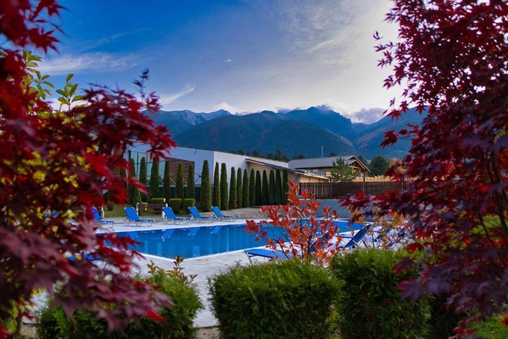 Local Stay Hotel, BW Signature Collection Bansko Exterior foto